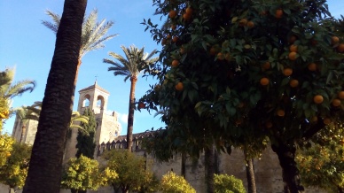 naranjos del Alcazar